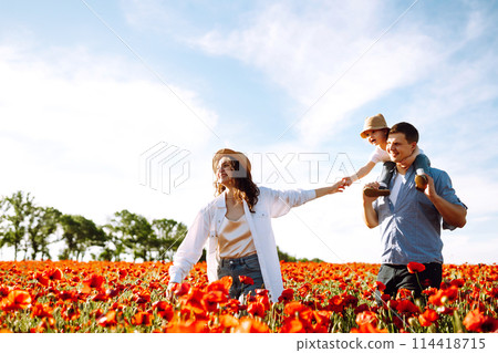 Family with a child walking on a poppy field. Mother, father, little daughter having fun on the poppy field. 114418715