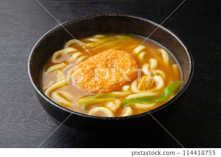 Curry Croquette Udon 114418755