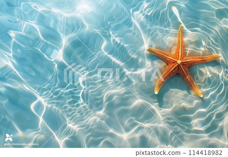 Starfish Resting on Beach 114418982