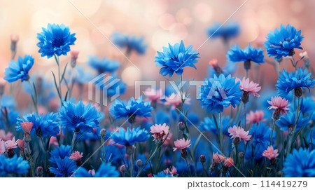 Cluster of Blue Flowers With Blurry Background Cluster of Blue Flowers With Blurry Background 114419279