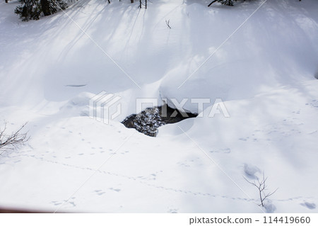 Hibiny mountains, springtime at Russian Nord, sunshine 114419660