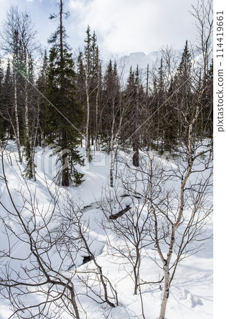 Hibiny mountains, springtime at Russian Nord, sunshine Hibiny mountains, springtime at Russian Nord, sunshine 114419661