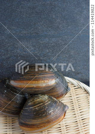 Surf clams on a colander Surf clams on a colander 114419822