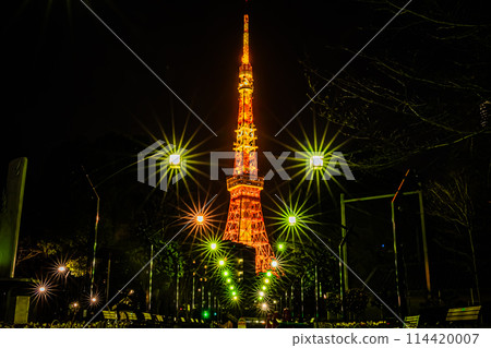 東京的夜晚 東京鐵塔 114420007
