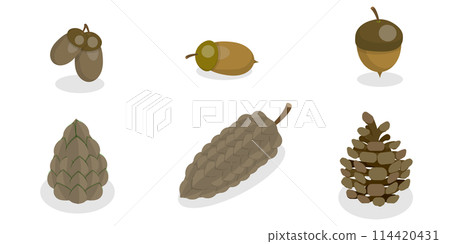 3D Isometric Flat  Set of Acorns And Cones, Natural Objects 114420431