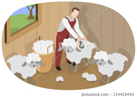 3D Isometric Flat Conceptual Illustration of Shearing Sheep, Wool Production 3D Isometric Flat Conceptual Illustration of Shearing Sheep, Wool Production 114420450