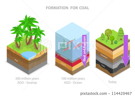 3D Isometric Flat Conceptual Illustration of Coal Formation, Educational Diagram 3D Isometric Flat Conceptual Illustration of Coal Formation, Educational Diagram 114420467