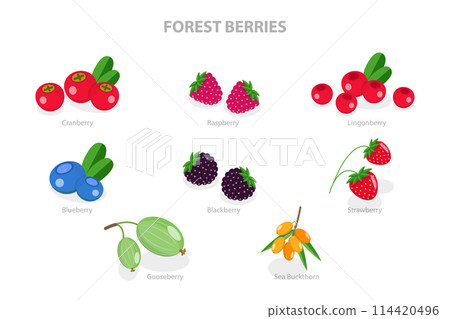 3D Isometric Flat  Set of Forest Berries, Juicy and Fresh Fruits 114420496
