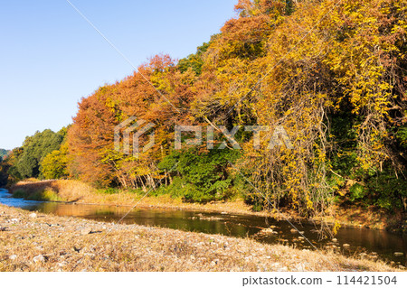 埼玉縣嵐山町的秋天 - 紅葉的嵐山山谷 埼玉縣嵐山町的秋天 - 紅葉的嵐山山谷 114421504