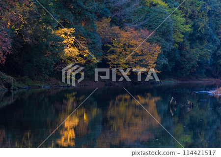 埼玉縣嵐山町的秋天 - 紅葉的嵐山山谷 114421517