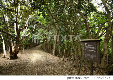 長坂[階梯]（熊野古道）[和歌山縣週見町] 114421573