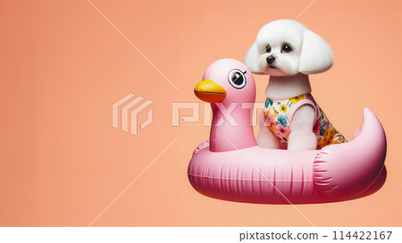 Funny dog wearing summer fashion with rubber ring on pastel background. Summer Vacation Concept. Funny dog wearing summer fashion with rubber ring on pastel background. Summer Vacation Concept. 114422167