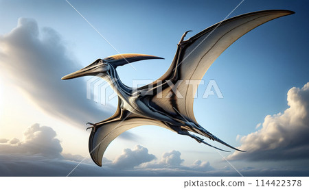 無齒翼龍004 無齒翼龍004 114422378