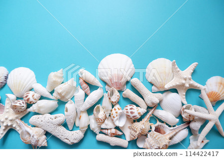 Light blue background and white shells Light blue background and white shells 114422417