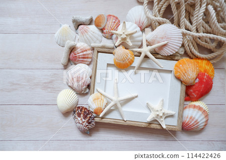 Starfish and shells on a wooden board Starfish and shells on a wooden board 114422426