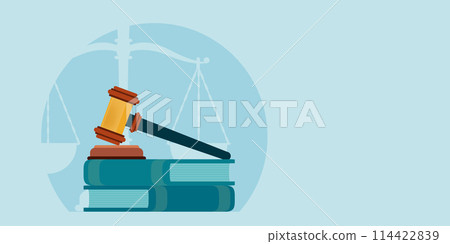 Law books with a judges gavel isolate on background. Law books with a judges gavel isolate on background. 114422839
