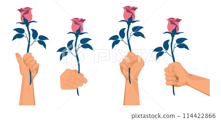 A clenched fist holding a rose isolated on background. 114422866