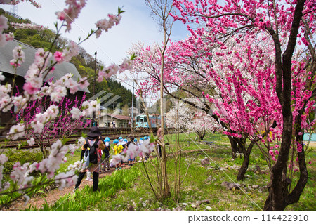 Katsuhara Station, the village of Hanamomo in full bloom Katsuhara Station, the village of Hanamomo in full bloom 114422910