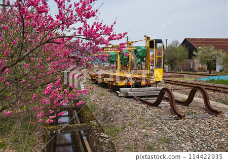 Katsuhara Station, the village of Hanamomo in full bloom 114422935