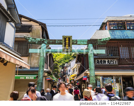 Shonan Fujisawa Enoshima Shrine Bronze torii gate at the entrance to the shrine 114422987