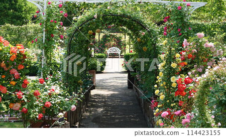 Arch covered with moss Arch covered with moss 114423155