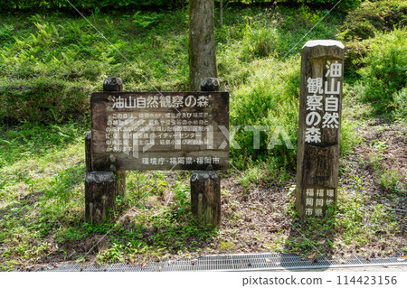 <Fukuoka Prefecture> Aburayama Citizens' Forest - Fresh Greenery <Fukuoka Prefecture> Aburayama Citizens' Forest - Fresh Greenery 114423156