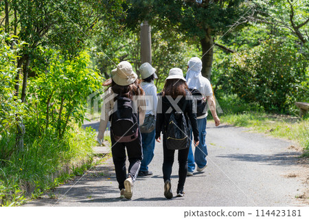 <Fukuoka Prefecture> Aburayama Citizens' Forest - Fresh Greenery 114423181