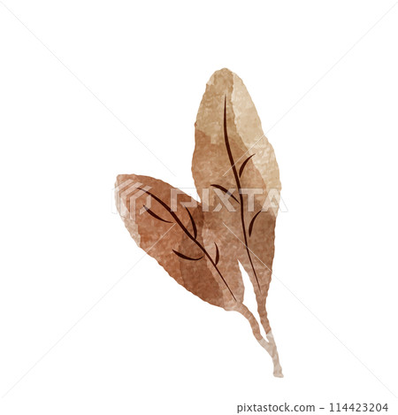簡單的棕葉水彩插圖（紅茶、烏龍茶、紅茶等） 114423204