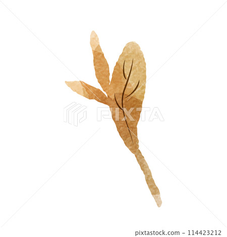 Simple brown leaf watercolor illustration (black tea, oolong tea, black tea, etc.) 114423212