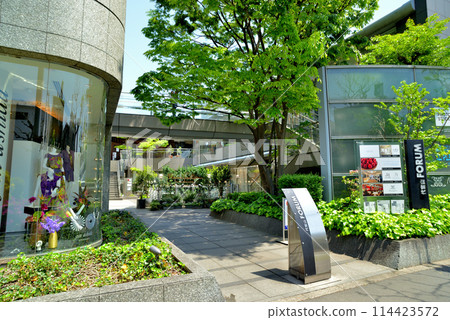 Scenery of fresh greenery near Daikanyama T-SITE in Shibuya Ward, Tokyo Scenery of fresh greenery near Daikanyama T-SITE in Shibuya Ward, Tokyo 114423572