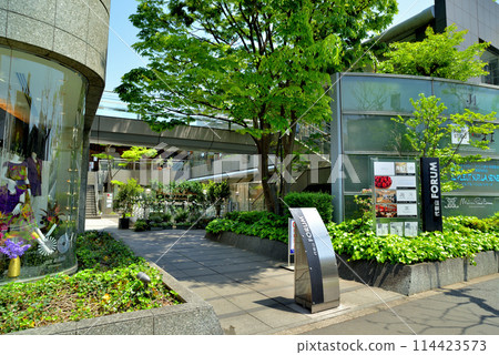 Scenery of fresh greenery near Daikanyama T-SITE in Shibuya Ward, Tokyo Scenery of fresh greenery near Daikanyama T-SITE in Shibuya Ward, Tokyo 114423573