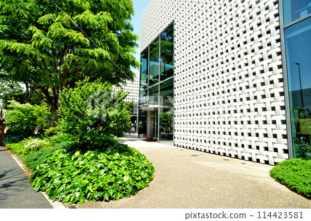 Scenery of fresh greenery near Daikanyama T-SITE in Shibuya Ward, Tokyo Scenery of fresh greenery near Daikanyama T-SITE in Shibuya Ward, Tokyo 114423581
