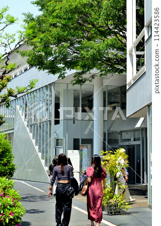 東京澀谷區新綠代官山T-SITE附近的風景 東京澀谷區新綠代官山T-SITE附近的風景 114423586