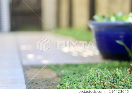 A cool courtyard with rows of water lily pots. A Japanese summer scene. Enjoying the cool air. A seasonal summer tradition. A refined fusion of Japanese and Western gardens. 114423645