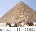 Camels and pyramids Camels and pyramids 114423681