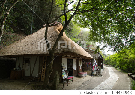戶賀茶屋（熊野古道）[和歌山縣田邊市中邊町] 114423948