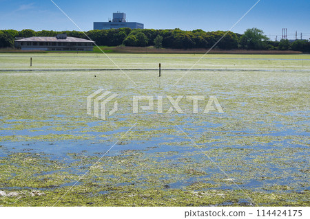 Yatsu tidal flat (Narashino City, Chiba Prefecture) 114424175