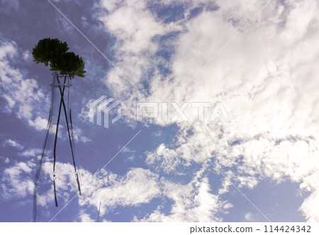 天空有云，單一花瓶 114424342