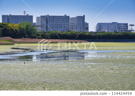 Yatsu潮灘(千葉縣習誌野市) Yatsu潮灘(千葉縣習誌野市) 114424459