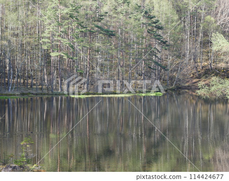 Shrine pond Shrine pond 114424677