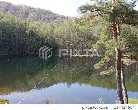 Shrine pond 114424694