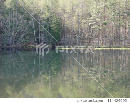 Shrine pond 114424695