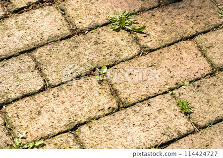 Lined up stones and sand 114424727