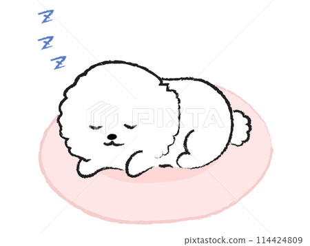 一隻狗睡在床上的插畫比熊犬 114424809