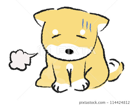 柴犬坐下來感到沮喪 柴犬坐下來感到沮喪 114424812