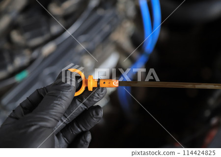 Mechanic hand checking engine oil quality in using car of long daily life 114424825