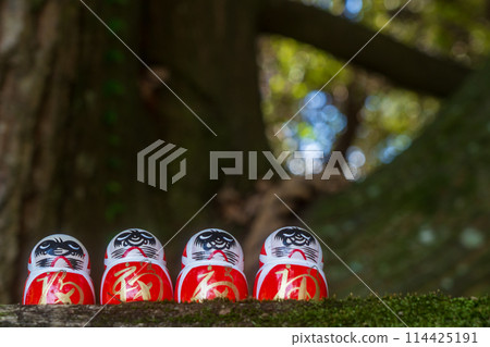Photographed Daruma of Katsuo-ji Temple in Minoo City, Osaka Prefecture Photographed Daruma of Katsuo-ji Temple in Minoo City, Osaka Prefecture 114425191