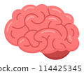 pink brain flat design isolated 114425345