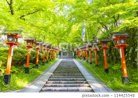 Fresh greenery in Kyoto - Kurama Temple - Stone steps and lanterns on the winding approach to the temple Fresh greenery in Kyoto - Kurama Temple - Stone steps and lanterns on the winding approach to the temple 114425548