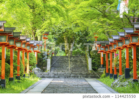 Fresh greenery in Kyoto - Kurama Temple - Stone steps and lanterns on the winding approach to the temple 114425550